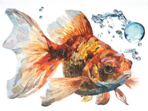 Paper Fish Chronicles by Dominique Kugel