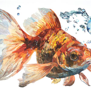 Paper Fish Chronicles by Dominique Kugel
