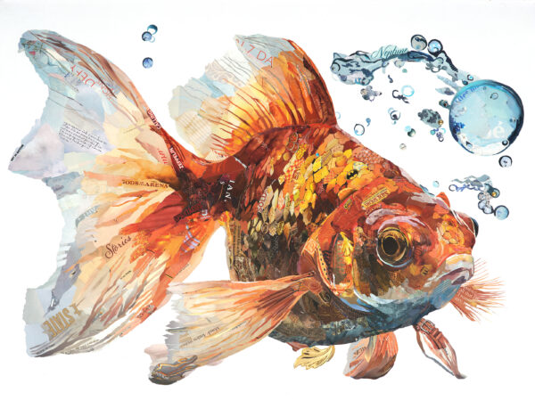 Paper Fish Chronicles by Dominique Kugel