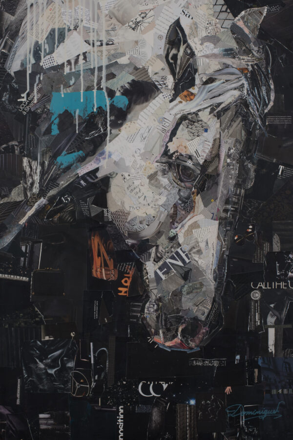 White Horse by Dominique Kugel